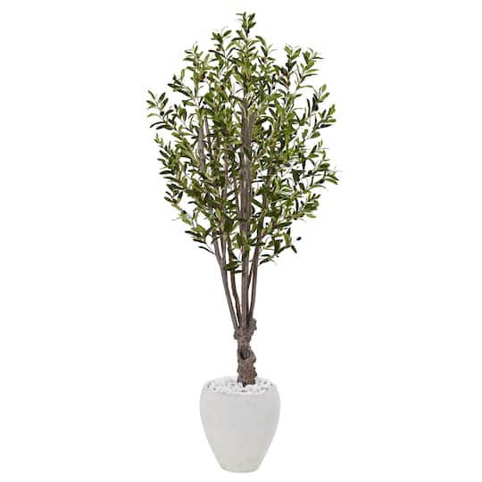 5ft. Olive Tree in White Oval Planter